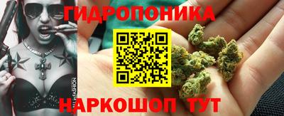 спайс Коммунар