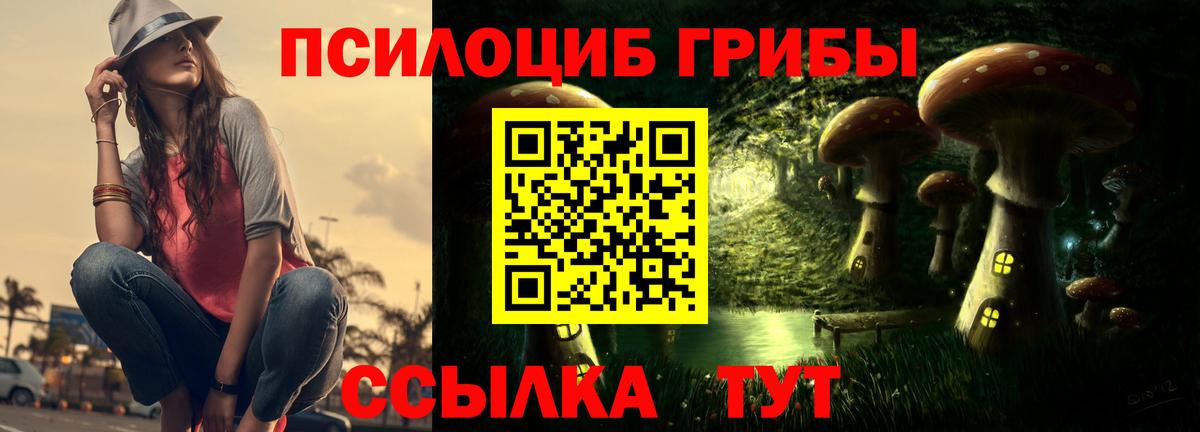 Галлюциногенные грибы прущие грибы Каспийск